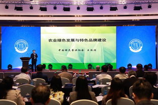2019中國特色產(chǎn)業(yè)經(jīng)濟高峰論壇在深圳隆重舉行