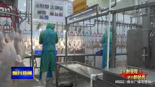 逆勢而上 煙臺企業(yè)穩(wěn)步挺進海外市場